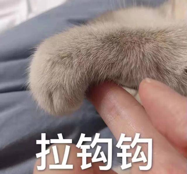 杨家军|真性情还是假人设?杨烁“油腻”男变“严厉”爸!