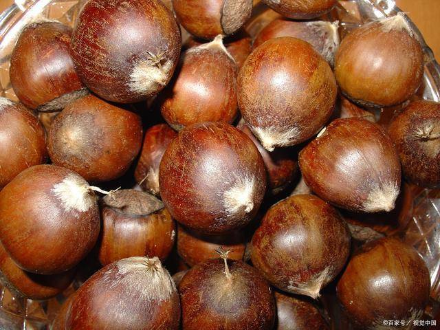 板栗的营养成分一览表 e6a720aab7ca447c9dec3af6d4760178.jpeg