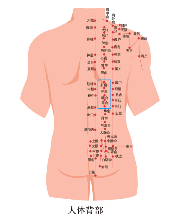 其他涂抹部位如背部脊椎两侧