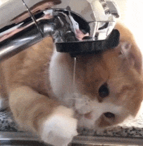 睡眠|明明很努力,为什么瘦下来的速度很慢?