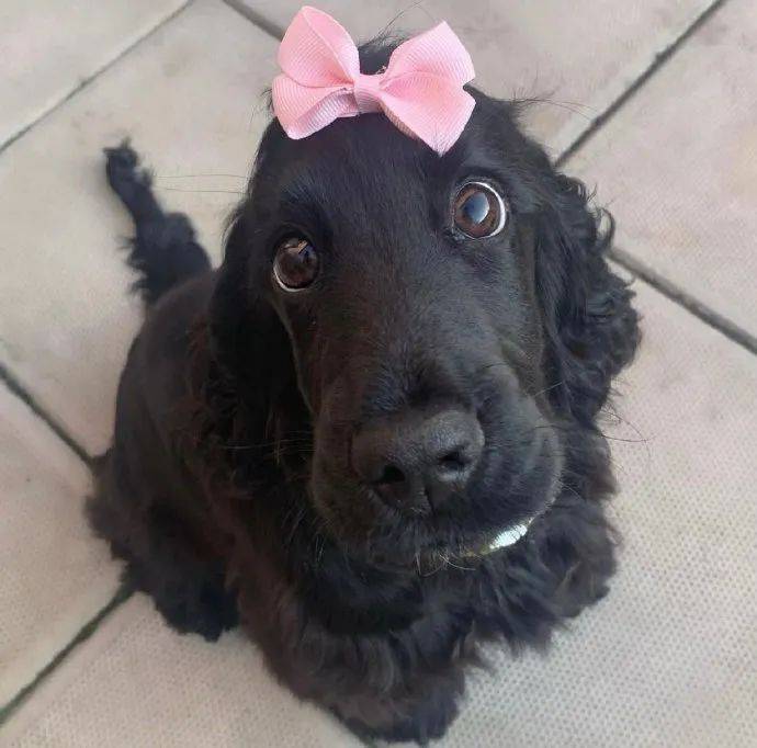 winnie_眼睛_网友