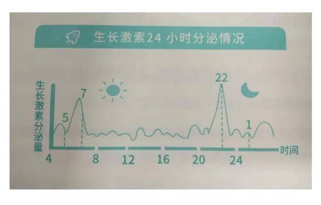 睡眠质量差也会影响孩子长高!_生长激素_身高_分泌量