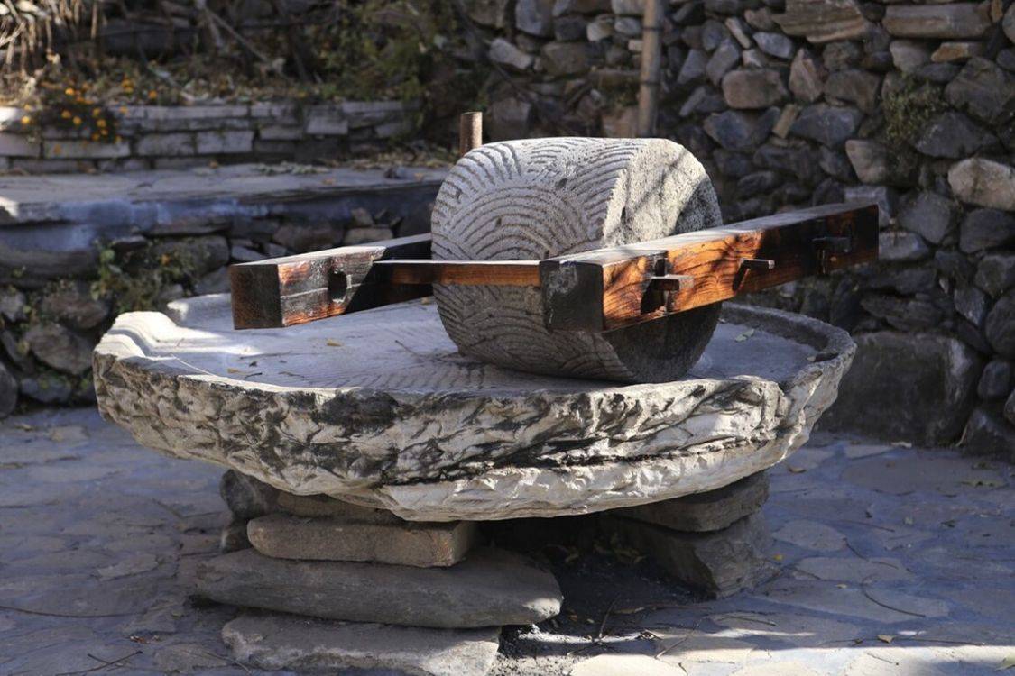 二月二龙抬头,牢记:1采,2忌,3吃,4敲,抬起一年好兆头_金豆_龙王_百姓