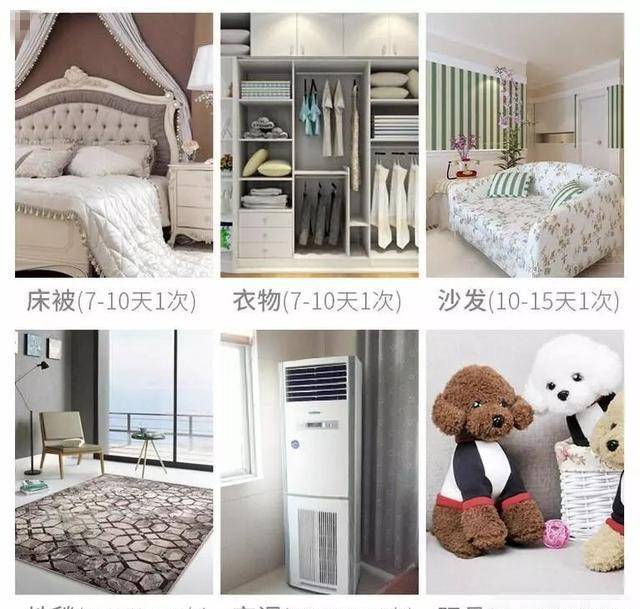 寄生螨虫若在身上“寄生”,头部早有“提示”!教你几个妙招快速除螨