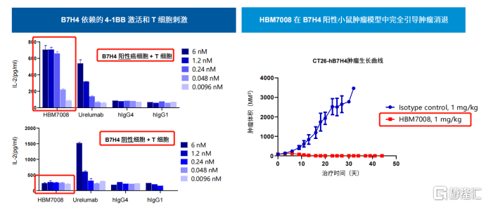 肿瘤|和铂医药-B (02142.HK)引领肿瘤免疫，澳洲IRB批准HBM7008临床申请