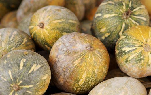 南瓜耐久营养价值高 制作不同料理南瓜的选择也有差异_品种_西洋_甜点