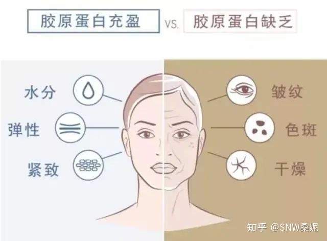 补充害怕老得快？桑妮玻尿酸液态饮教你有效抗衰