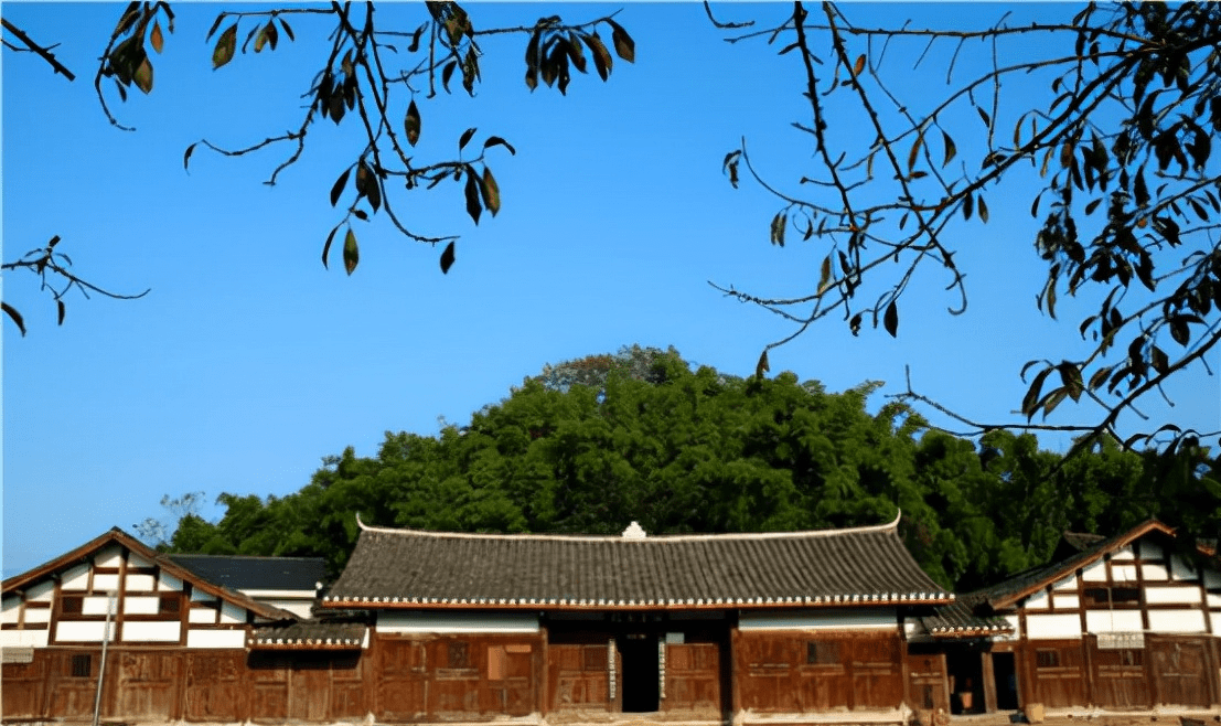 「开云体育 Kaiyun.com 官网入口案例」 这个全国休闲农业重点县借助特色