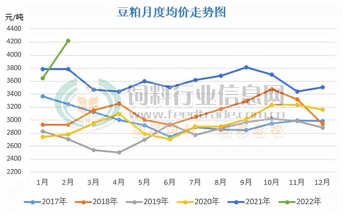2月豆粕大涨1565成本增加超400元吨后市还能继续