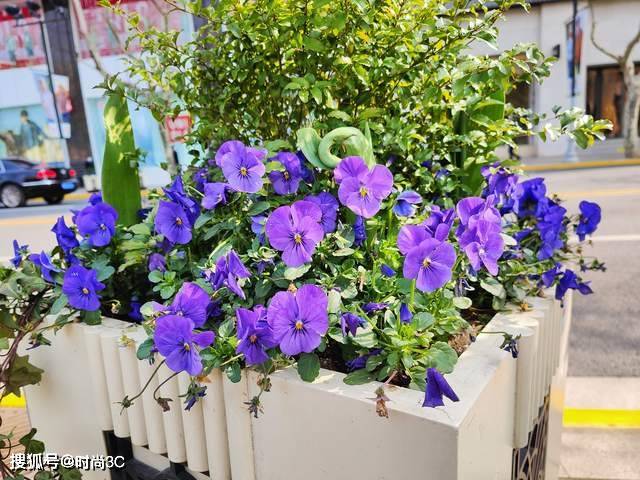 实测OPPO Find X5 Pro出真知，一部简单、高效、好用的色彩影像旗舰