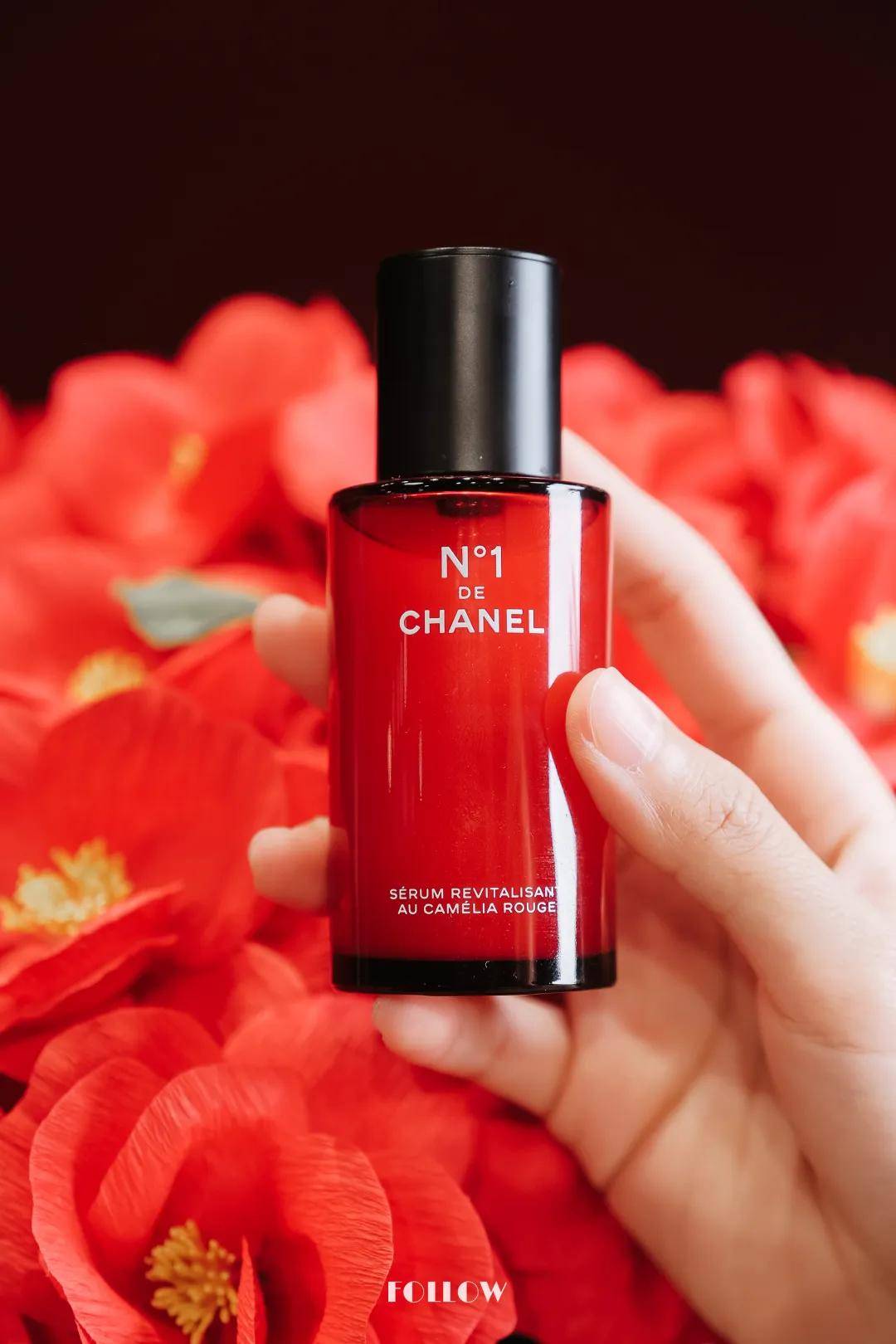 香奈儿一号花园限时开放中开启红山茶花探索之旅