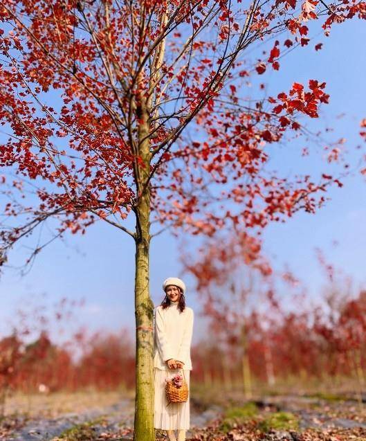 配饰被这位60岁法国奶奶圈粉,年过半百活力四射,穿衣得体,坐姿撩人