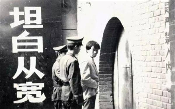 人与狗|90年代，他带狗参演谢晋电影《老人与狗》，拍完电影人与狗皆枪毙