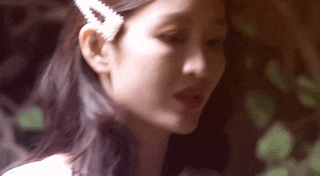 花魁|没了撒贝宁的《明侦》,到底差在哪里?