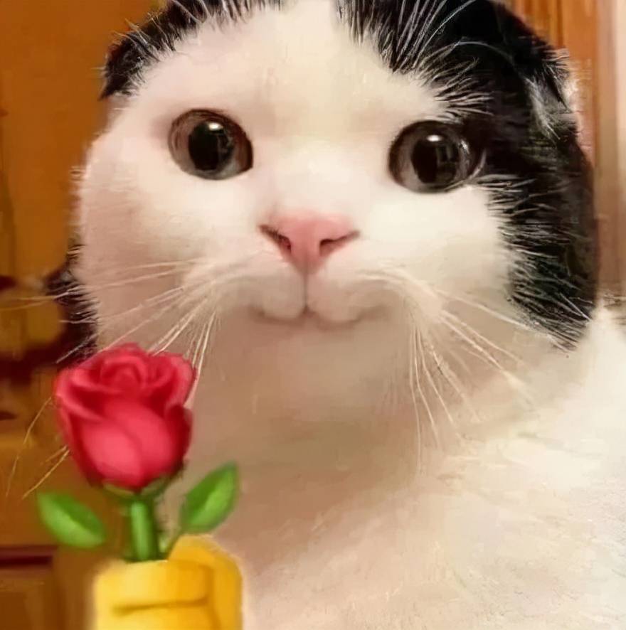 平台一夜之间风靡全平台的“白开水妆容”，有多白？