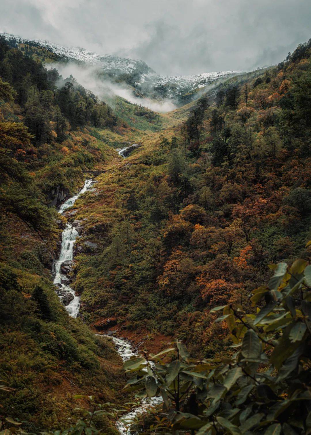 高黎贡|大地的缝合线，高黎贡山