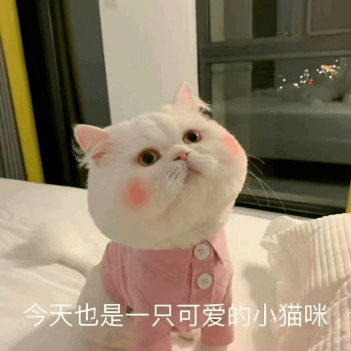 八卦爆料网红圈也出了个淡颜系美女！旧天台随便一拍她就火了？