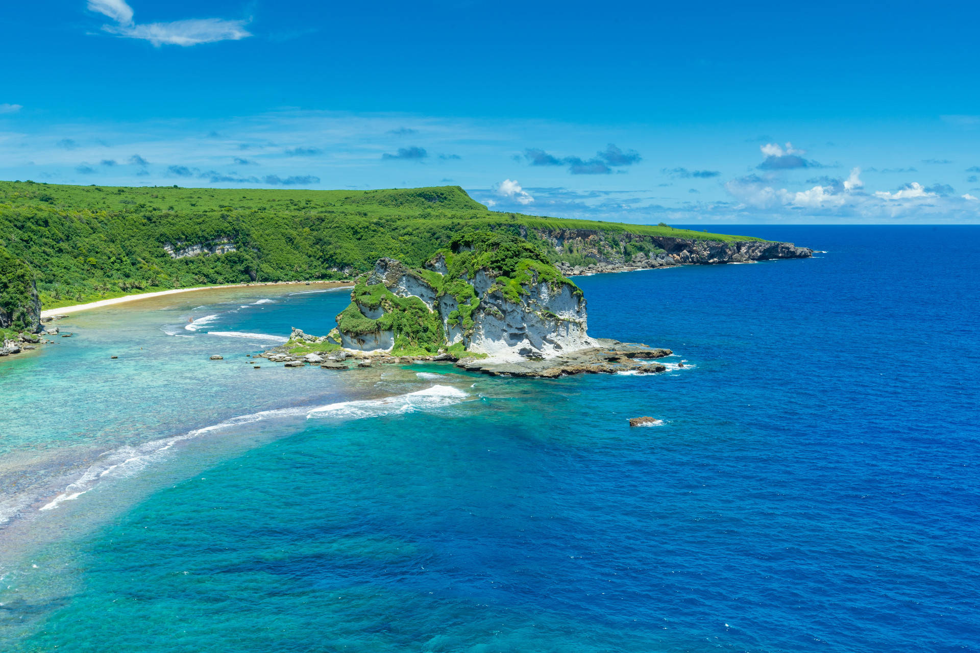 原创西沙东岛发现的野牛群已繁衍300多年它们究竟是从哪儿来的