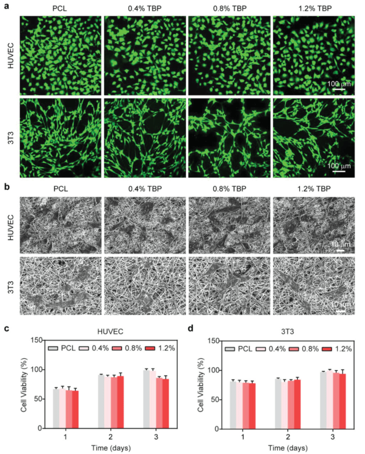 唐本忠院士团队原位电纺聚集诱导发射纳米纤维敷料加速伤口愈合
