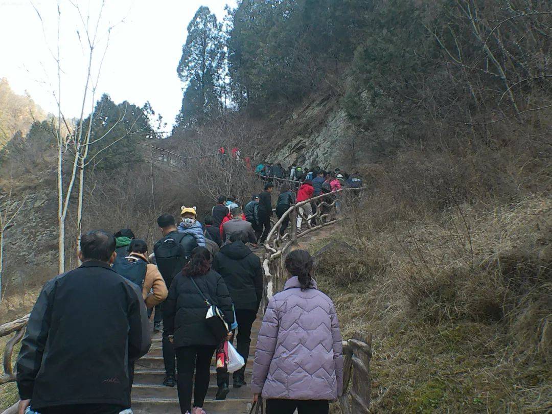 景区|2022九龙山景区登山节开跑！