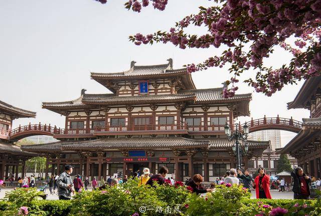 长安城|西安青龙寺，中国十大赏樱胜地之一，春天梦幻唯美还免费开放