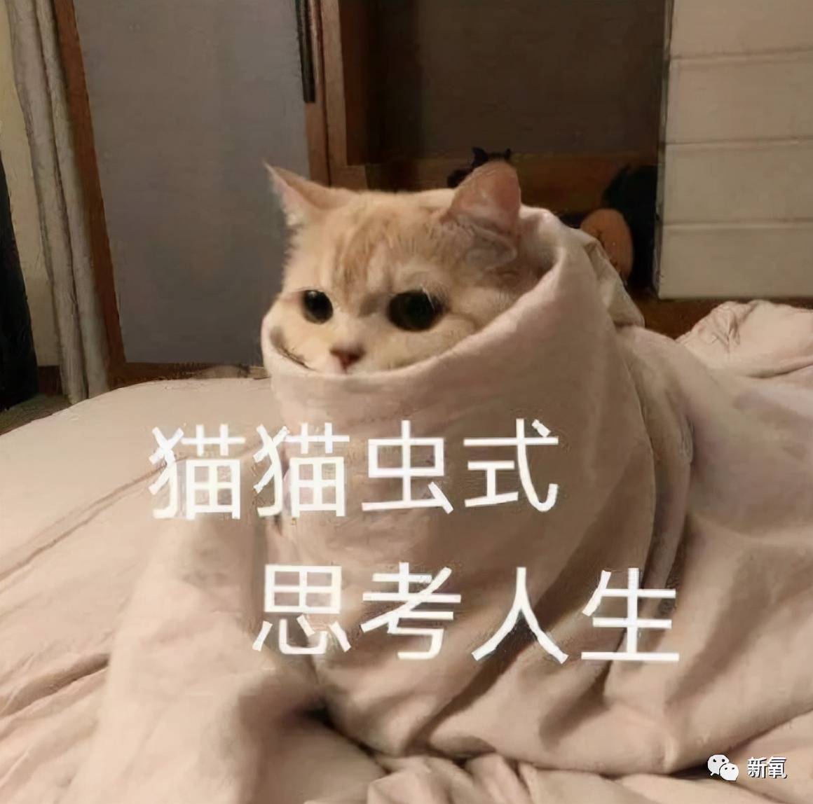 性敏感感受到春天来的幸福了吗？还是换季过敏在家不敢出门？