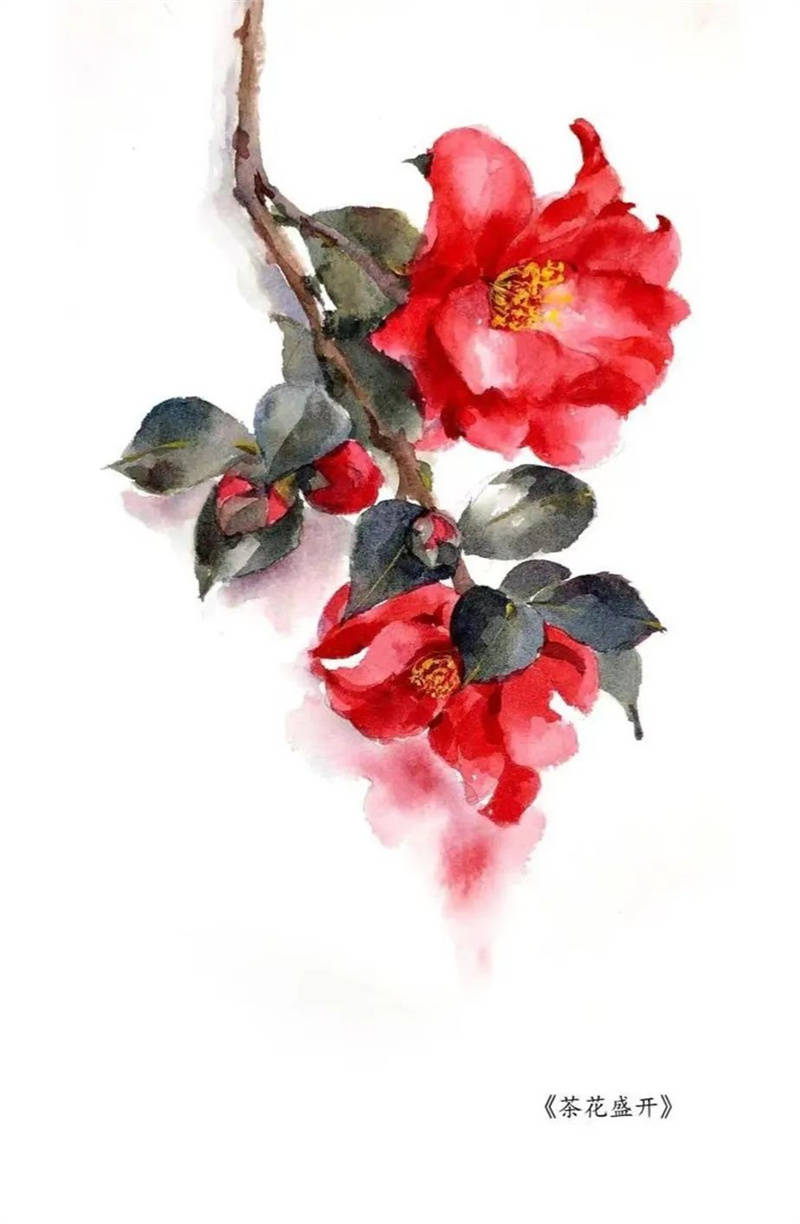 第十三届中国茶花博览会"百幅绘画画茶花"赏析_温州_创作_作品