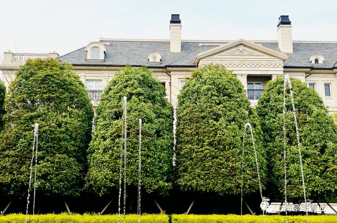 西郊青溪花园02西郊299建面669平联排别墅售价9200万