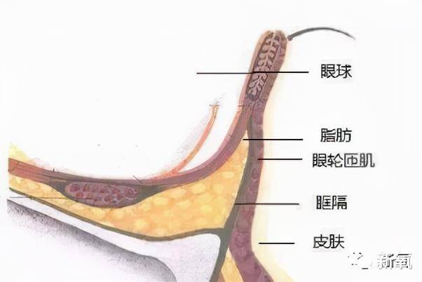 凯特被家暴后的她，一砖一瓦地重建自我