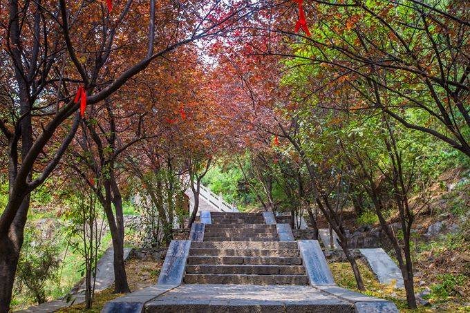 河南焦作有一座月山寺,充满了禅意,寺内藏着众多佛塔,鲜为人知