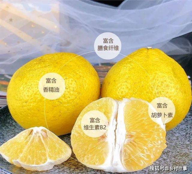 柚子营养成分表100克图片