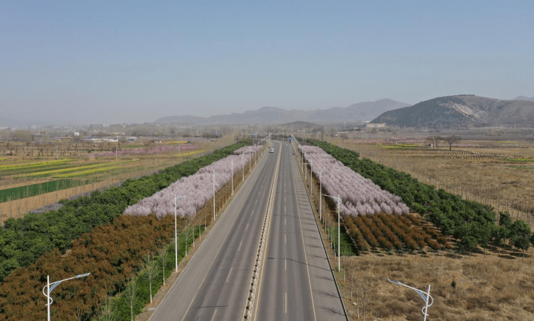"行走汝州·畅享花城"春季旅游文化节系列活动赏花攻略_花海_大道_硕