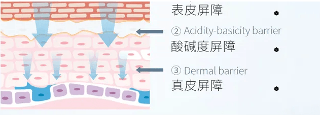 治疗痘痘只能靠医美手段改善吗？
