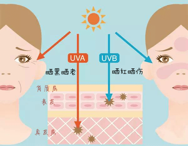 兰瑟防晒工作好好做，兰瑟小白盾防晒霜助你保持好肤色