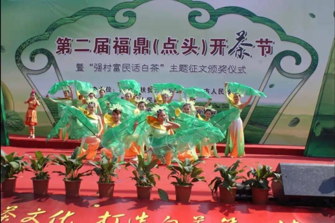 活动|定啦!定啦!定啦!3月28日-29日,第十一届福鼎白茶开茶节