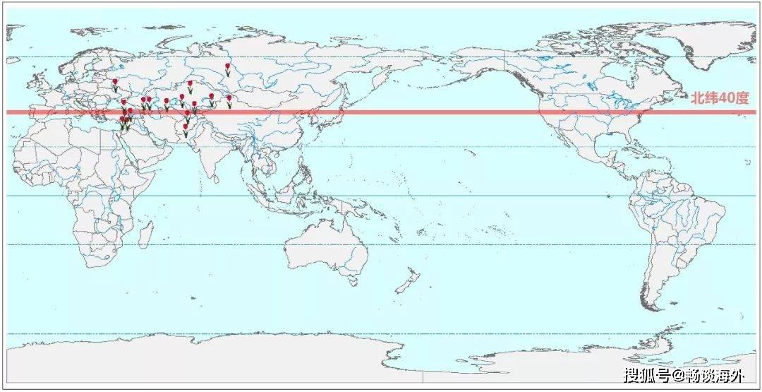 野生郁金香原产于亚洲中部,主要分布在北半球北纬40度带上