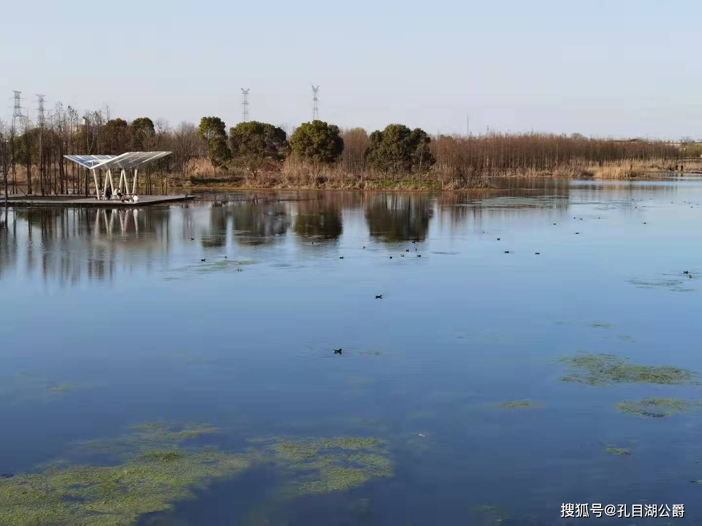 原創南昌熱帶雨林魚尾洲溼地公園