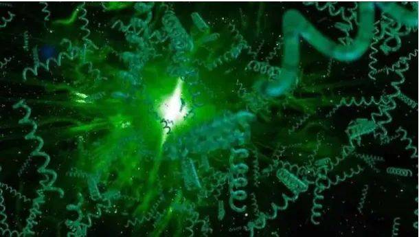 涨姿势，盘点地球上生存亿万年的超级生物