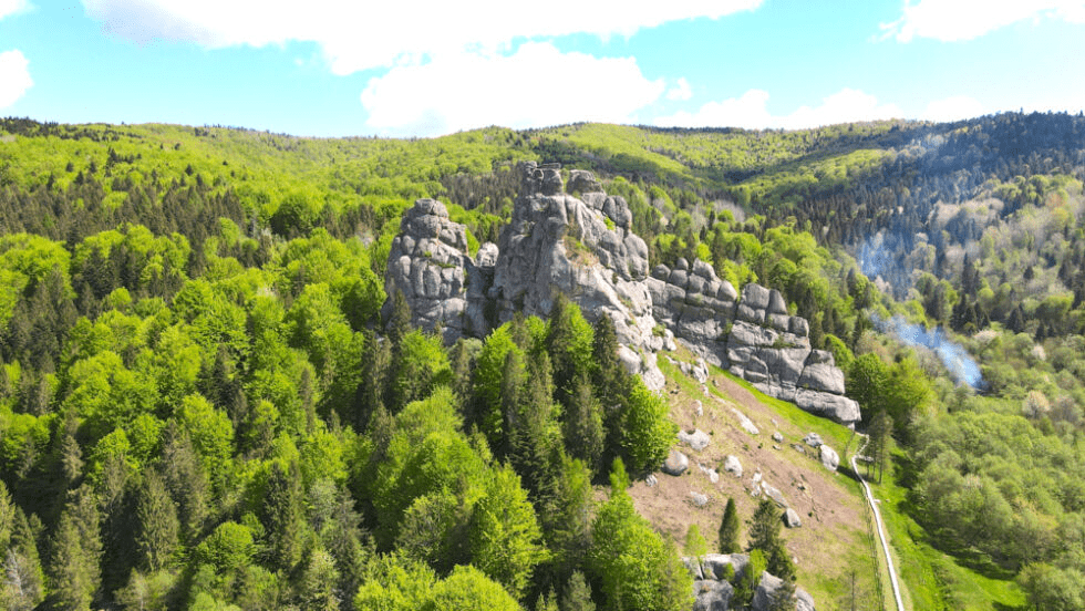出口|挣扎中的乌克兰葡萄酒,竟有如许珍宝