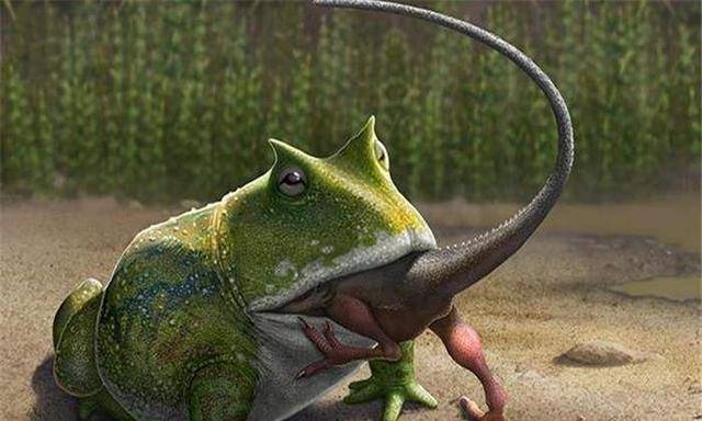 原创魔鬼蛙到底有多恐怖它真的能吃恐龙吗