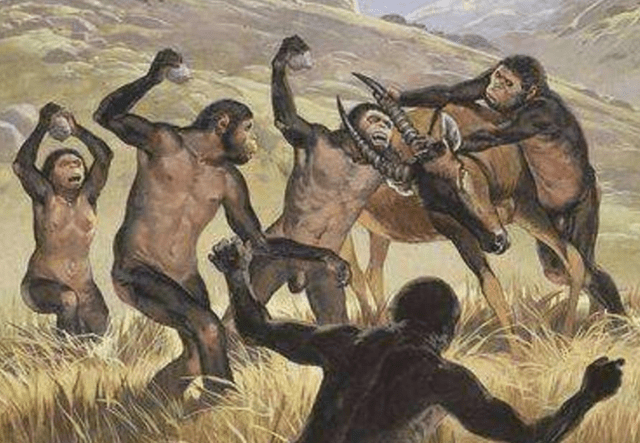 原创成年男性与成年雄性黑猩猩谁的力量更大为什么