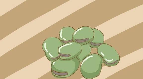 营养|还在为早餐吃什么发愁?这些美味又健康的食物,值得一试