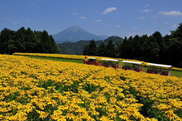 气候|探索不一样的日本「山阴山阳」秘境之旅