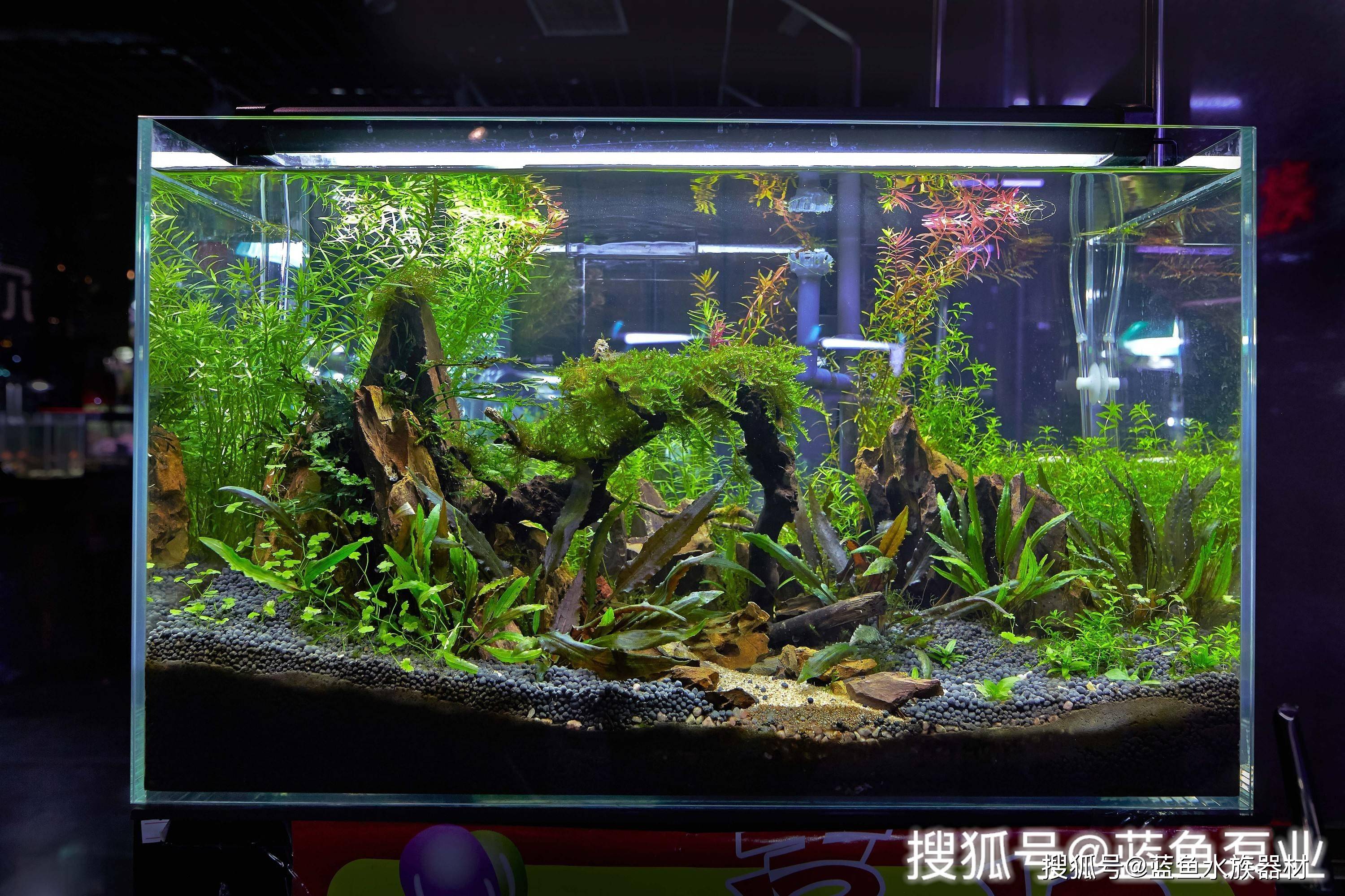 玻璃鱼缸裂开了怎么修补