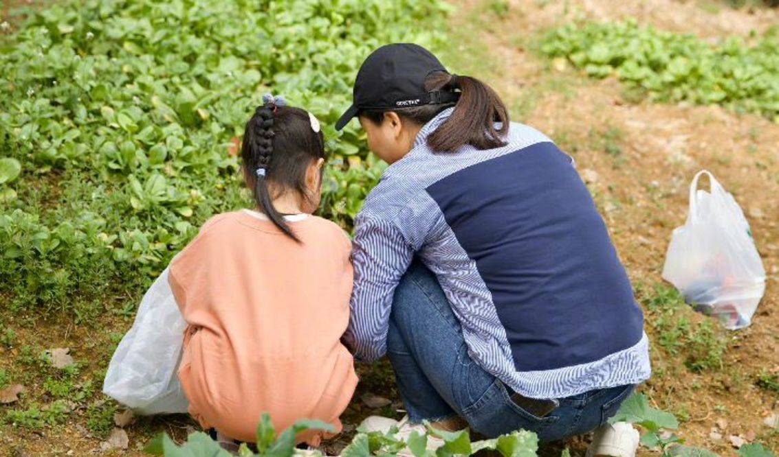 毛衣 朱丹带儿女摘野菜，黝黑皮肤一看就经常下地，发福不少手肿得明显