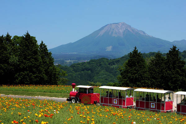 气候|探索不一样的日本「山阴山阳」秘境之旅