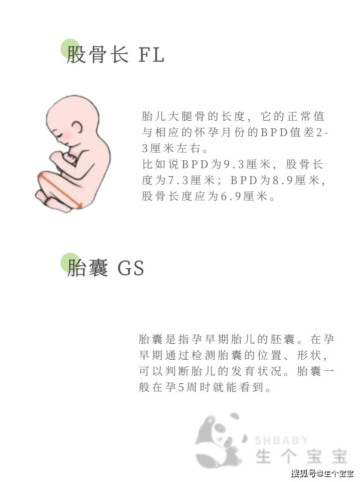 胎儿体重计算公式图片