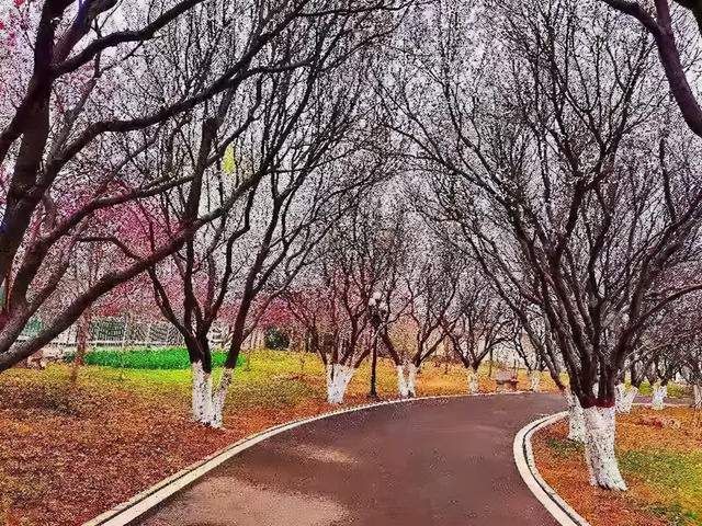 遵义深溪百草园