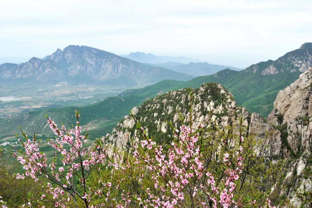 拥抱春天,不负春光.心向美好,奔向云端.而春天的嵩山究竟是什么样子