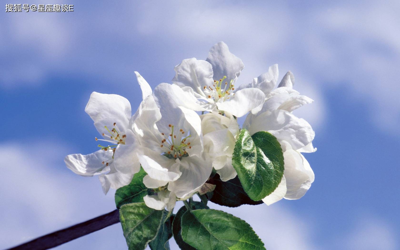 3月13日 19日星座运势 把握契机 成绩卓越的四大星座 生活 未来 方面